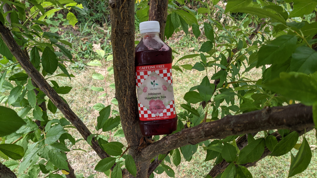 A bottle of hibscius and hawthorn tea on a tree.